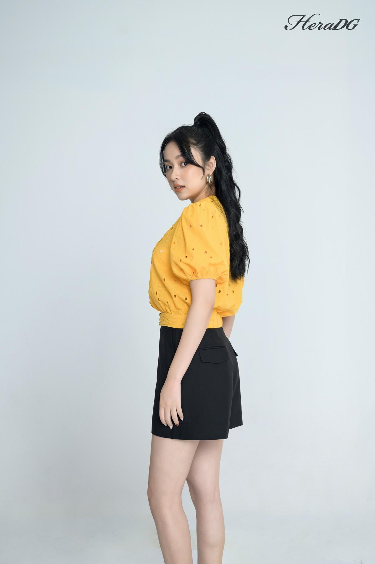 Áo kiểu thêu cổ V