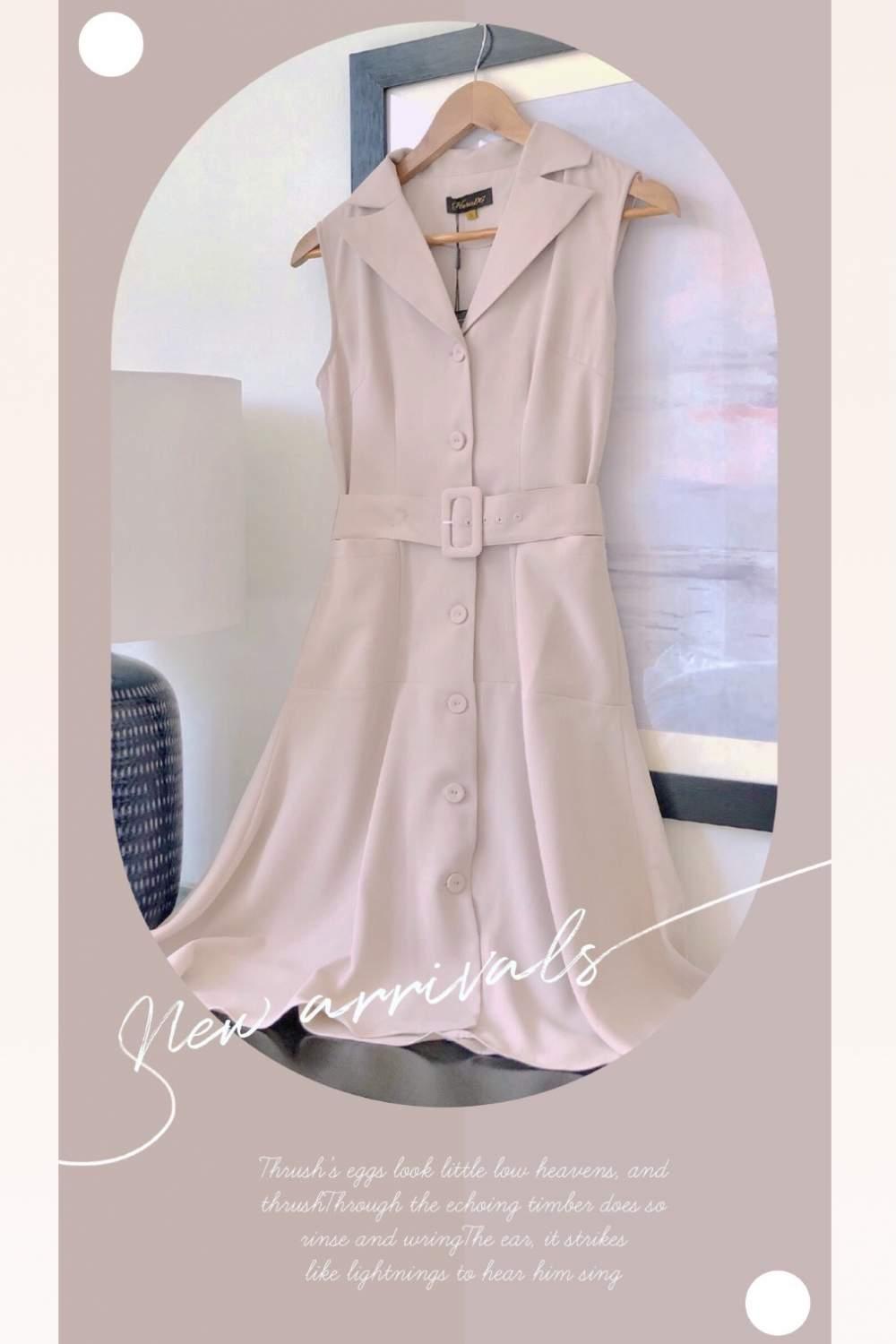 Đầm xòe A cổ 2 ve